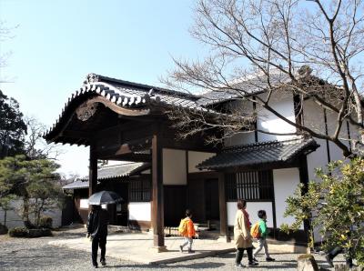 楽々園(滋賀県彦根市)へ行ってきました・・・