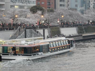 咲き急ぐ桜を追いかけて～隅田川