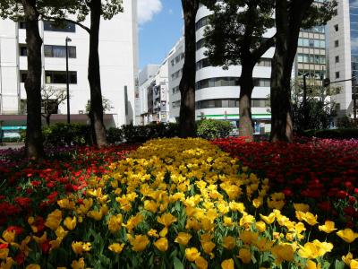 横浜公園は「ガーデン　ネックレス　２０１８」の会場に　上