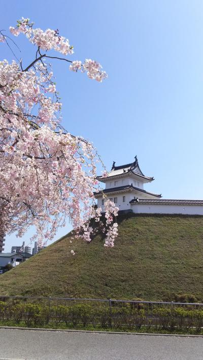 まだ咲いていた宇都宮城址公園の桜4月9日＆乃木温泉ホテル宿泊4月6日