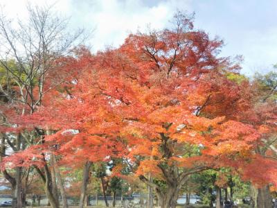 たまには「ベタ」な観光旅行1711 　「仕事仲間のマダム達と紅葉を見に行きました。　　"南禅寺＆永観堂”」　　～京都～