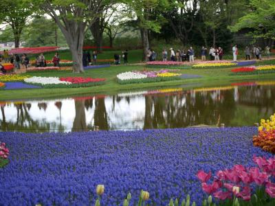 東京立川・昭和記念公園の“フラワーフェスティバル2018”を訪れて