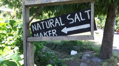 ２度目のバリ島、３世代のんびり旅③お塩を求めてクサンバへ