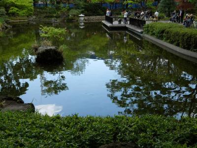 横浜公園は「ガーデン　ネックレス２０１８」の会場に　下