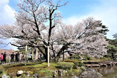 雨の北陸　桜と春の三重奏　VOL.1「金沢城・兼六園・ひがし茶屋街・主計町茶屋街」編