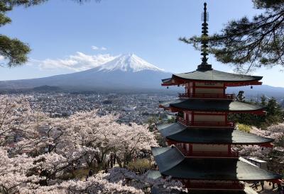 2018年4月富士と桜と五重の塔の絶景