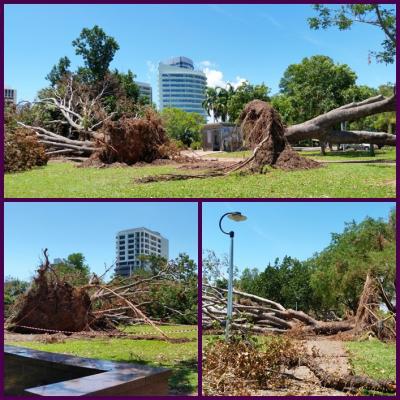 安い、近い、短い旅の記録 No.44 「2年ぶりにやって来たCyclone Marcus。思いもよらぬほどの大きな爪痕を残しました。」2018年3月17日(土)