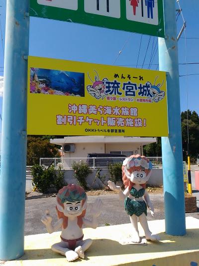 沖縄美ら海水族館と水牛車、備瀬フク木並木通り、ハートロック、古宇利オーシャンタワーの旅