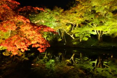 秋の京都巡り