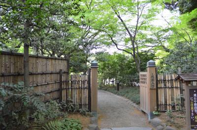 美しい日本庭園でお散歩。小石川後楽園