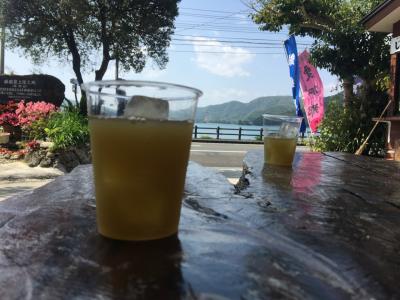 大島さん、こんにちは!