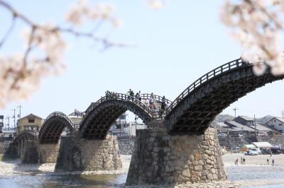 錦帯橋の春景 2018　
