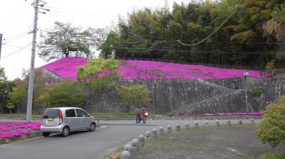 電動ＶＳ人力「唐古・鍵遺跡から新沢千塚古墳公園迄の自転車の戦」 