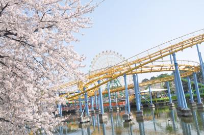 華蔵寺公園花まつり