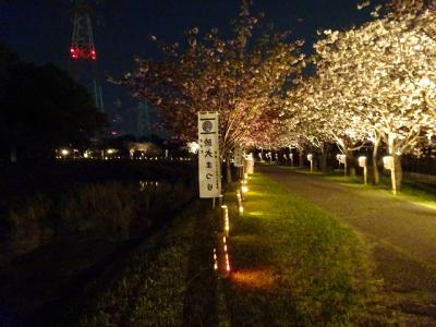 八重桜（愛知県東浦町）2018.4.9