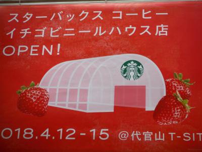 スタバ　イチゴビニールハウス店に行ってきましたぁ～！