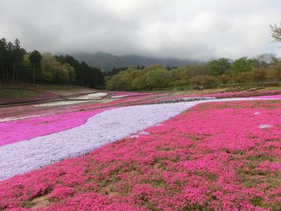 長瀞１泊旅行