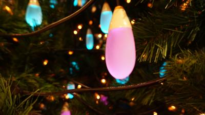 *:.,.:散歩日記 ~大和~*:.,.: