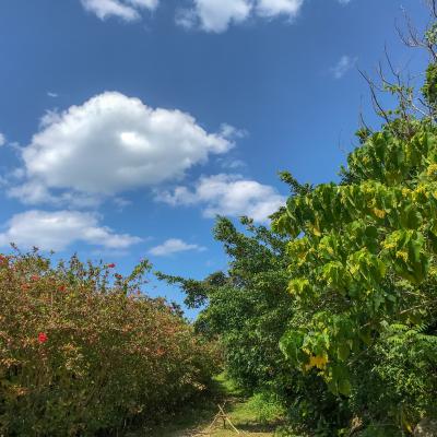 やはり寒かった石垣(4月)(笑)