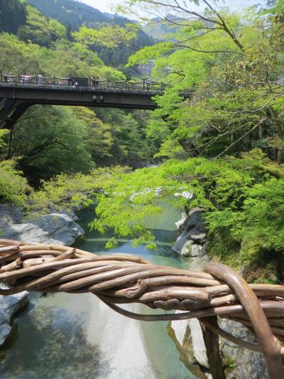 ダイヤモンドプリンセスで西日本巡り　その４　3日目　かずら橋と祖谷渓