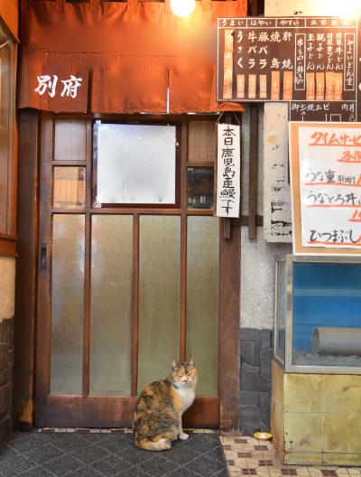 ★春休み・日本半分横断・回収の旅その１６　最終回はにゃんこおまけ篇★