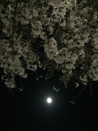 満月の夜