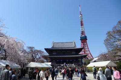 駅からハイキング！！　体感！！港区おしゃれスポット巡り♪