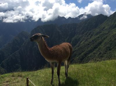 還暦お祝い  マチュピチュに