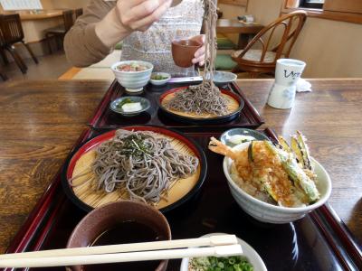 三島文教町の銀杏並木　竹沢園芸種苗　三島市佐野体験農園　夏野菜植え付け準備　うなぎと和食処ひだかの昼食