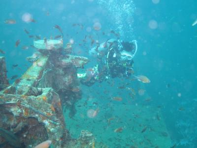 タイ　サムイ島・タオ島ジンベイダイビング！