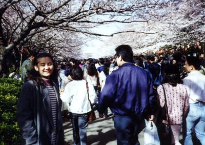 上野桜祭り 1994/04/03 (個人記録)　