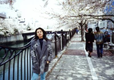 大岡川の桜 1994/04/10 (個人記録)　　