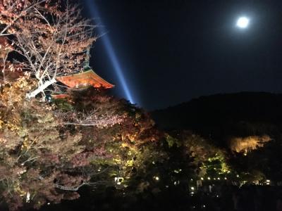 2016年11月京都紅葉の旅