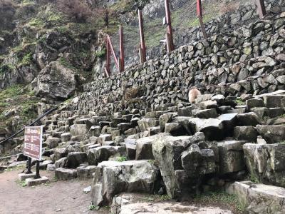 地獄谷温泉、野猿公苑