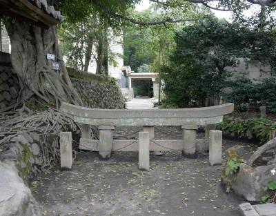 2018.3薩摩大隅半島旅行11-桜島を一周3 桜島大根の畑，火山灰の道，昭和溶岩地帯展望台，黒神埋没鳥居