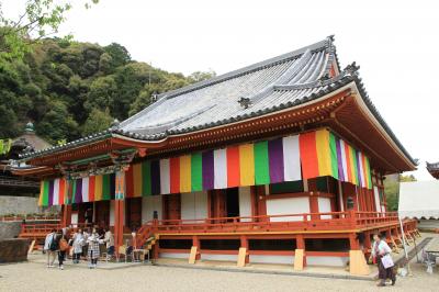 天野山 金剛寺　修復なった金堂の国宝指定された金堂三尊像を拝観。その後、堺市の法雲禅寺へつつじの咲き具合を見に行きました。