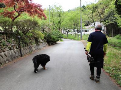 犬小屋で行く、九鬼山