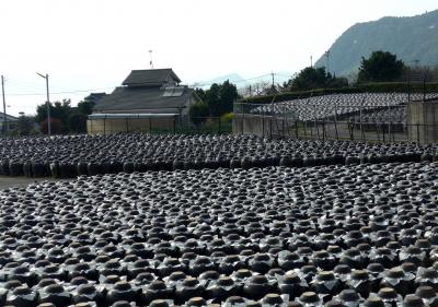 2018.3薩摩大隅半島旅行12終-たるみず湯っ足り館，太崎観音，坂元のくろず「壺畑」情報館，上野原縄文の森，帰京