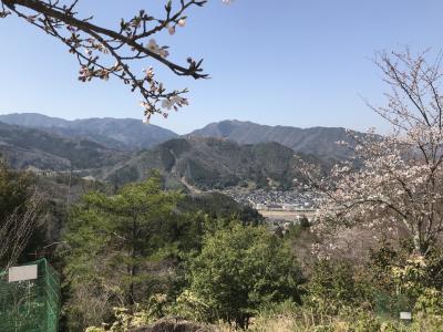 遠くに竹田城跡