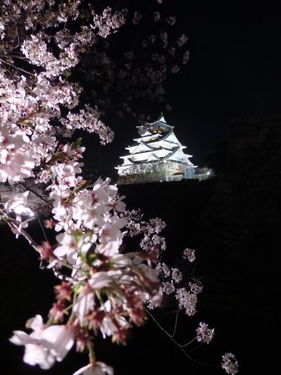 2018年　大阪城 西の丸庭園 観桜ナイター
