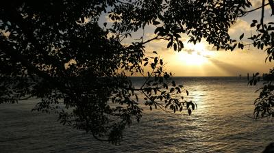 ケアンズ　グリーン島　ポートダグラス