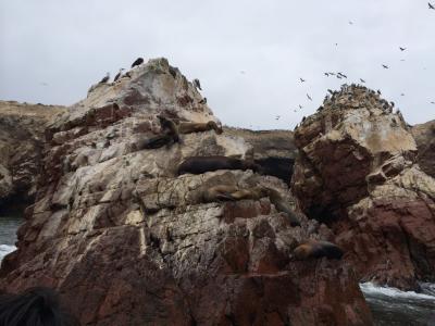 Ballestas Islands