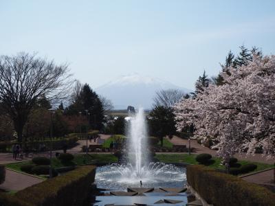 シルバーフェリーで行く青森桜めぐり（弘南鉄道桜めぐり）