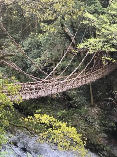 徳島で祖谷のかずら橋と小便小僧