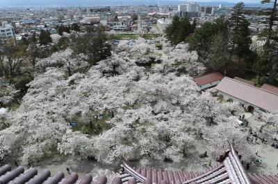 [2018年4月]  桜紀行 福島県会津若松市 石部桜・鶴ヶ城