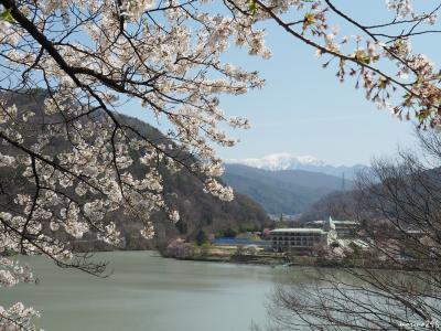 天下第一 高遠桜と信州桜名城めぐり（1日目）：高遠城址公園→高田公園