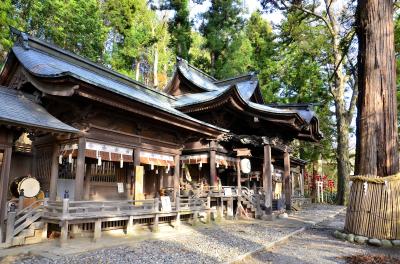 芳葩爛漫 伊那・諏訪紀行④上諏訪 手長神社