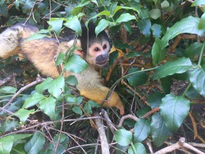 南アフリカ3週間　ドライブ旅行記　 12 　ガーデンルートは見所がいっぱい。