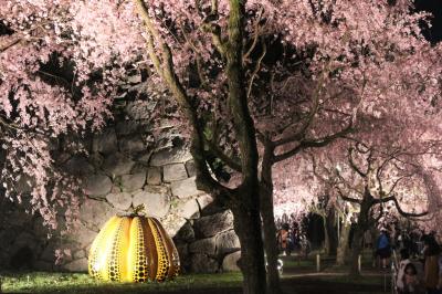2018 APR 【日本100名城No.85】福岡城　桜の季節恒例のさくらまつり