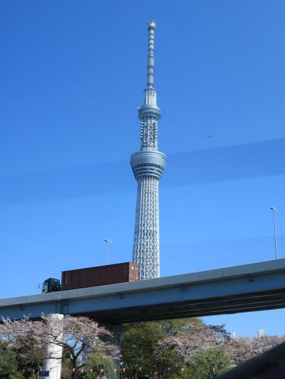 隅田川クルーズ3/3　浜離宮庭園⇒浅草　東京港を回り込み　☆晴海・日の出埠頭を経由して